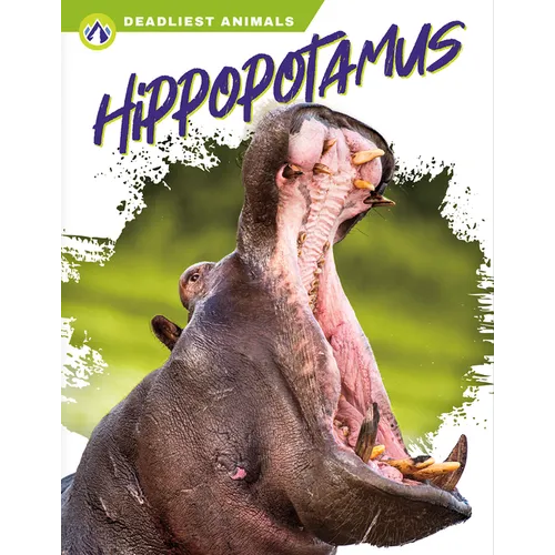 Hippopotamus