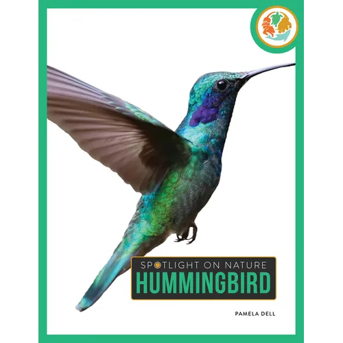 Hummingbird