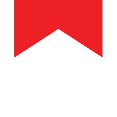 Benjamin Hirte: Modest Homes