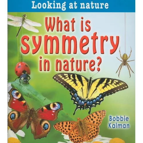 What Is Symmetry in Nature?