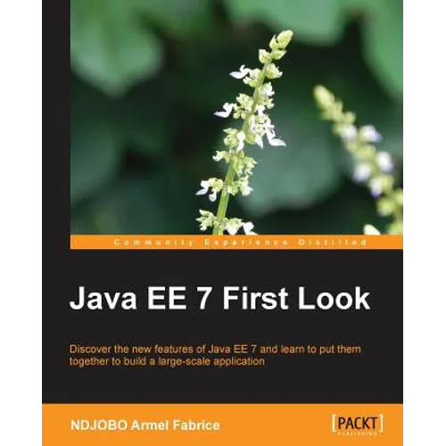 Java Ee 7 First Look