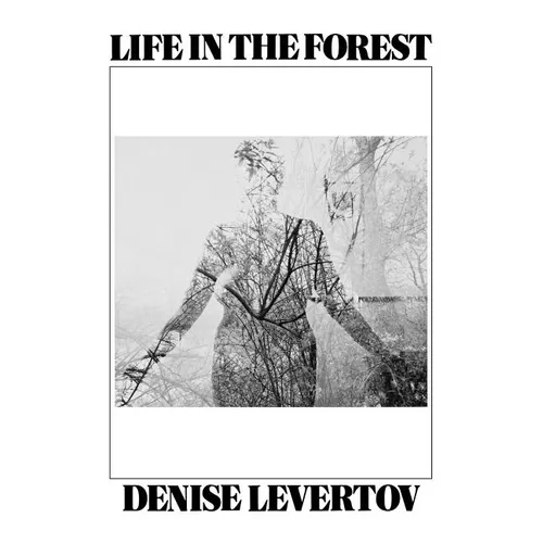 Life in the Forest