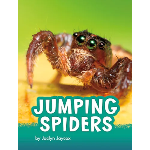 Jumping Spiders
