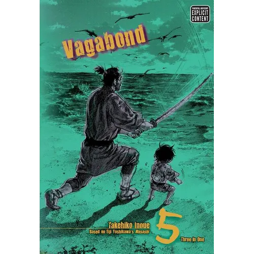 Vagabond (Vizbig Edition), Vol. 5