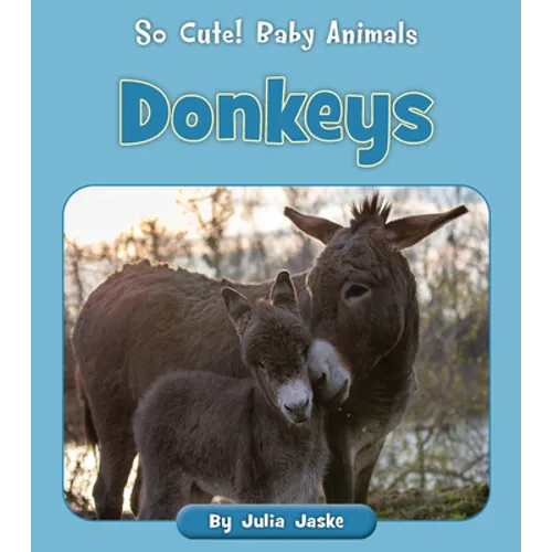 Donkeys