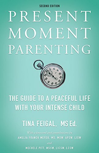 Present Moment Parenting Book