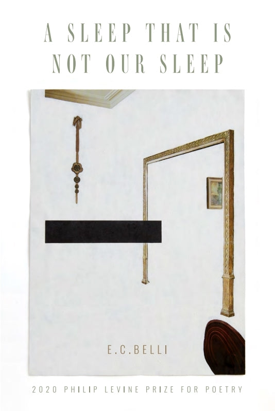 A Sleep That Is Not Our Sleep Book