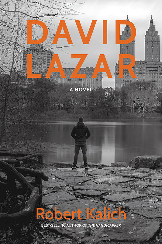David Lazar: A Novel Book