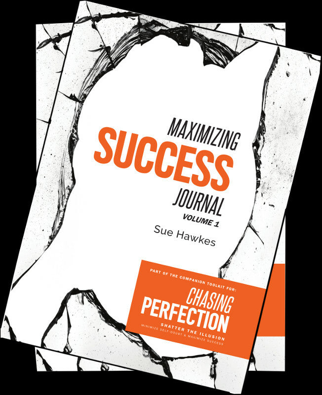 Maximizing Success Journal (2 volume set) Book