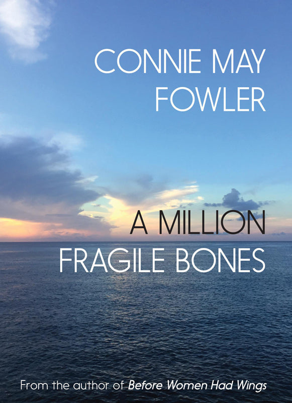 A Million Fragile Bones Book