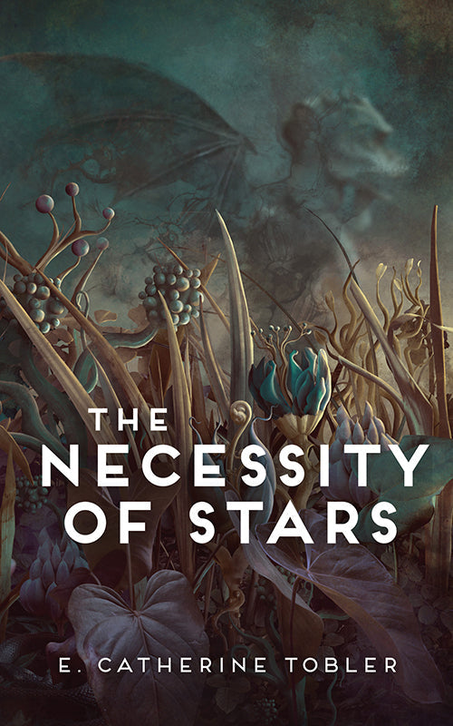 The Necessity of Stars Book