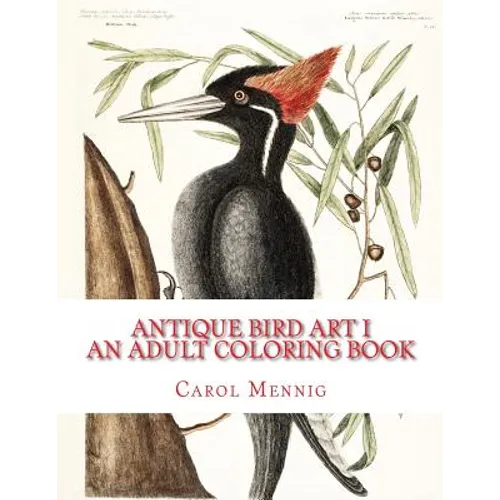 Antique Bird Art I: An Adult Coloring Book