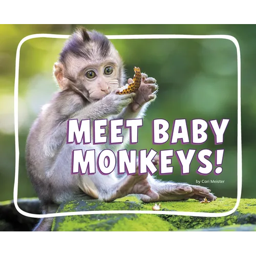 Meet Baby Monkeys!