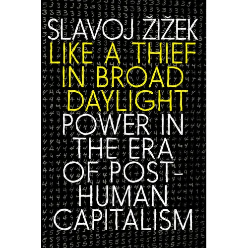 Like a Thief in Broad Daylight: Power in the Era of Post-Human Capitalism