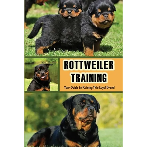 Rottweiler Training: Your Guide to Raising This Loyal Breed: How To Raise A Rottweiler?