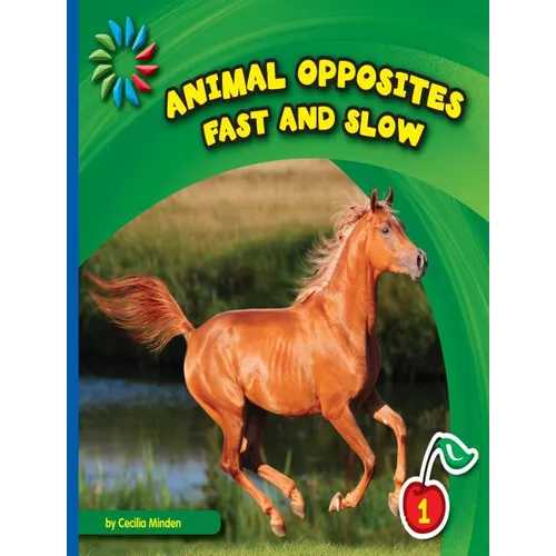 Fast and Slow