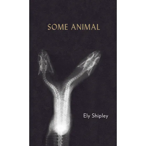 Some Animal