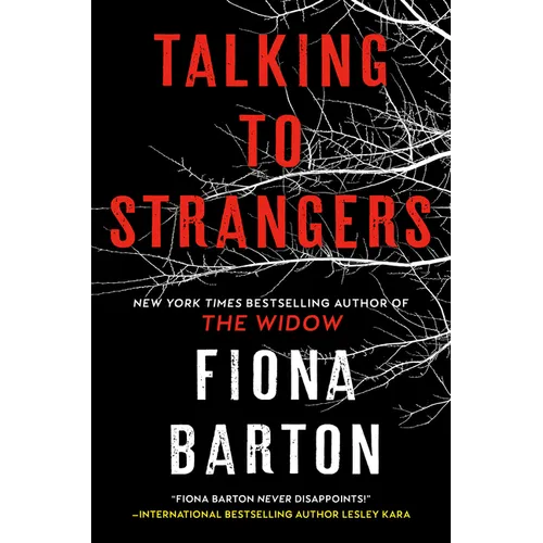 Talking to Strangers