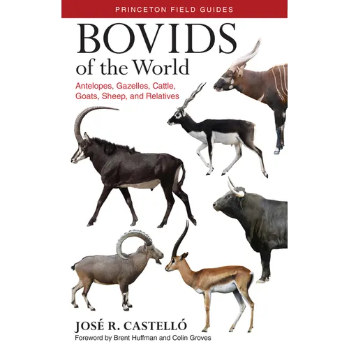 Bovids of the World: Antelopes, Gazelles, Cattle, Goats, Sheep, and Relatives