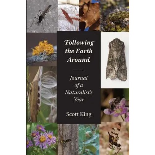 Following the Earth Around