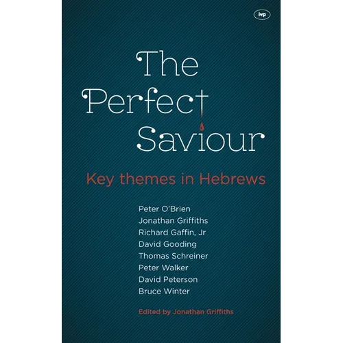 The Perfect Saviour
