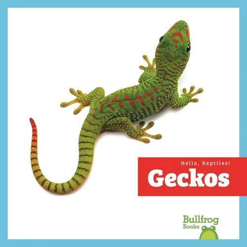 Geckos