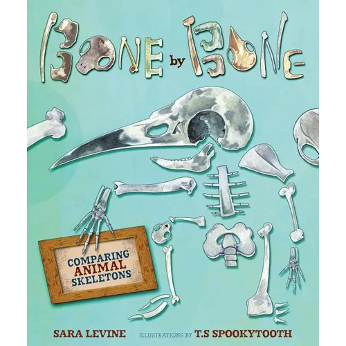 Bone by Bone: Comparing Animal Skeletons