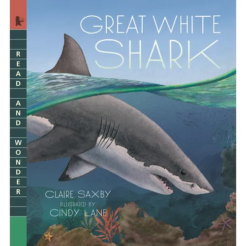 Great White Shark: Read and Wonder