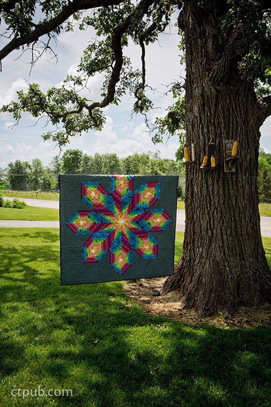 Amish-Inspired Quilts for Today's Home Book