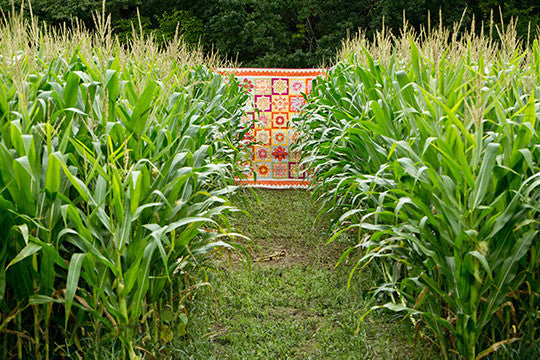 Country Girl Modern Book