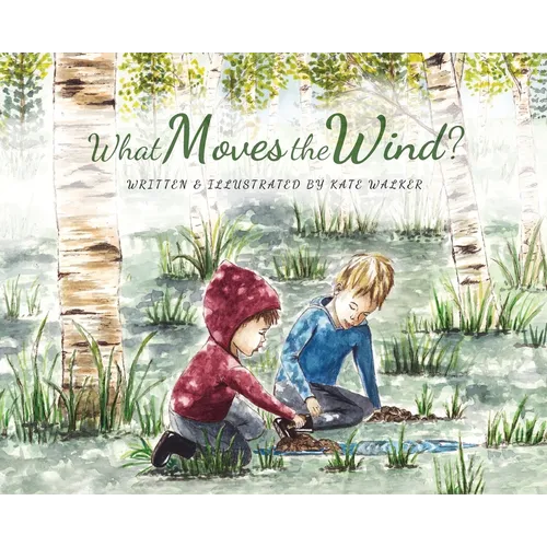 What Moves the Wind?