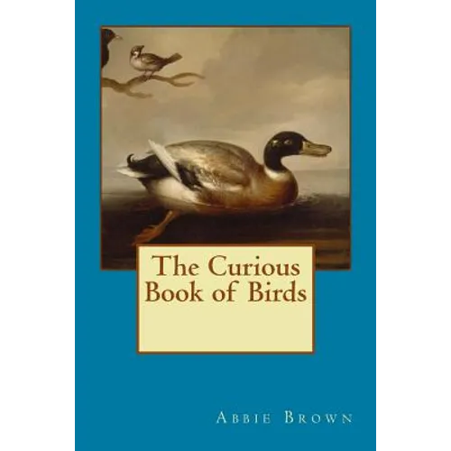 Curious Book of Birds