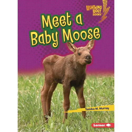Meet a Baby Moose