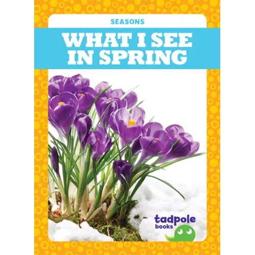 What I See in Spring