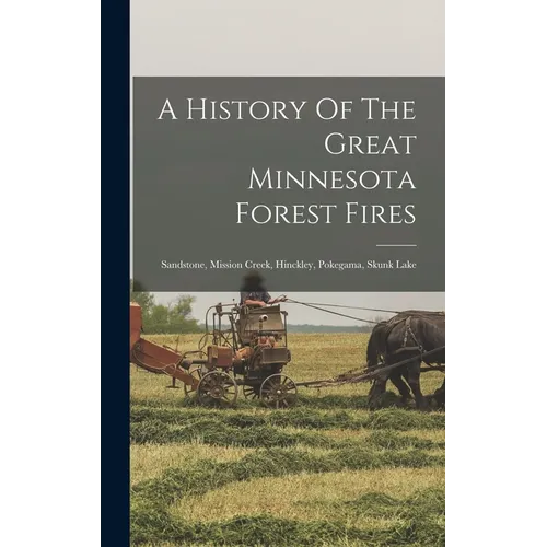 A History Of The Great Minnesota Forest Fires: Sandstone, Mission Creek, Hinckley, Pokegama, Skunk Lake