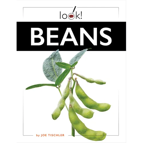 Beans