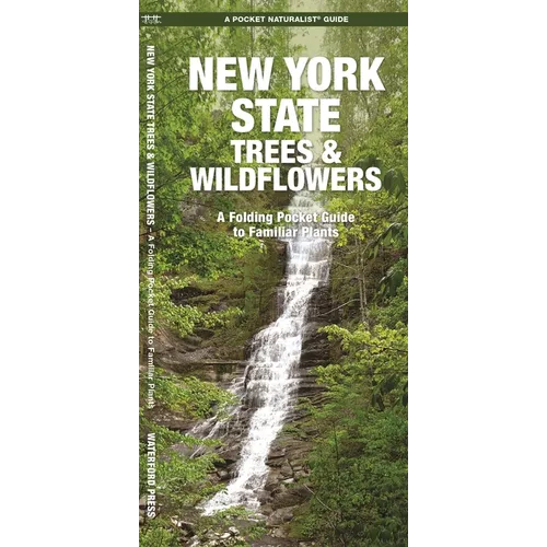 New York State Trees & Wildflowers