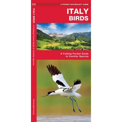 Italy Birds: A Folding Pocket Guide to Familiar Species