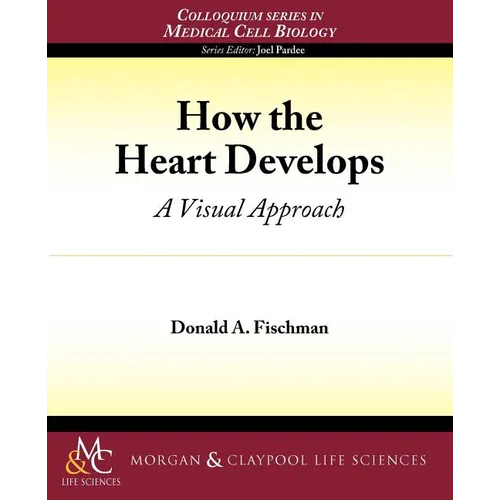 How the Heart Develops: A Visual Approach