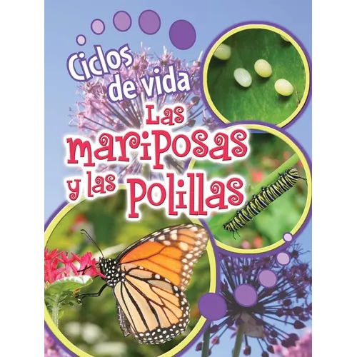 Ciclos de Vida de Las Mariposas Y Las Polillas: Butterflies and Moths