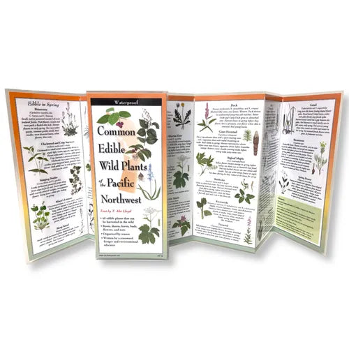 Common Wild Edible Plants of the Pacific Northwest