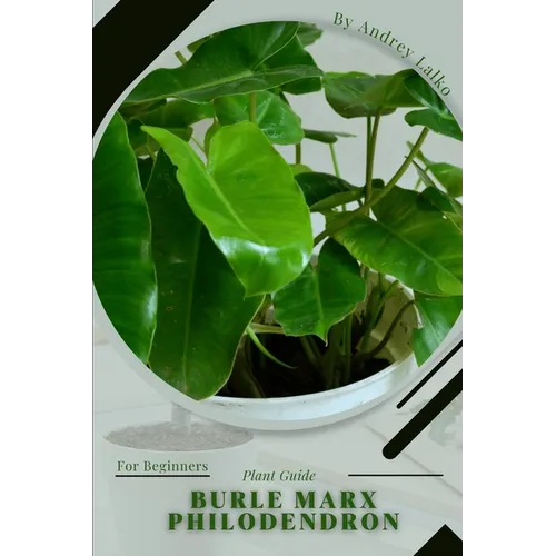 Burle Marx Philodendron: Plant Guide