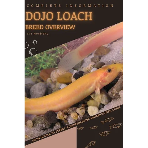 Dojo Loach: From Novice to Expert. Comprehensive Aquarium Fish Guide