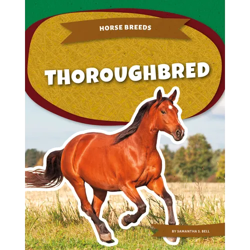 Thoroughbred