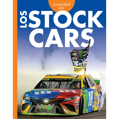 Curiosidad Por Los Stock Cars