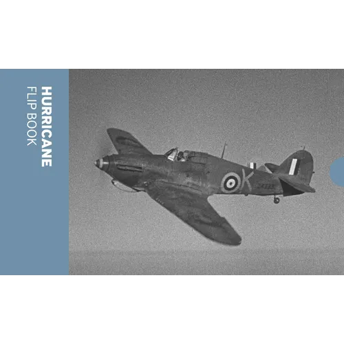 Hurricane Flip Book