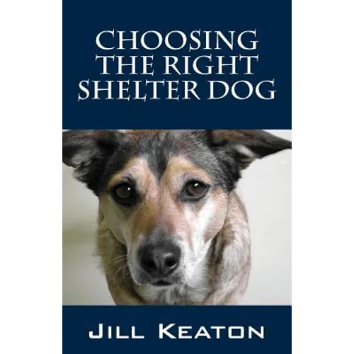 Choosing the Right Shelter Dog