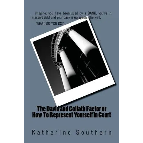The David and Goliath Factor or How To Represent Yourself in Court