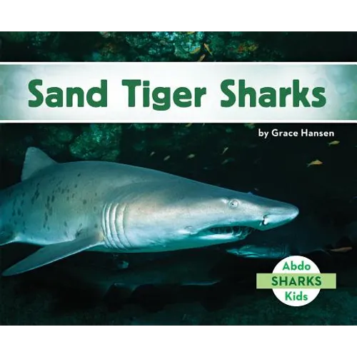 Sand Tiger Sharks
