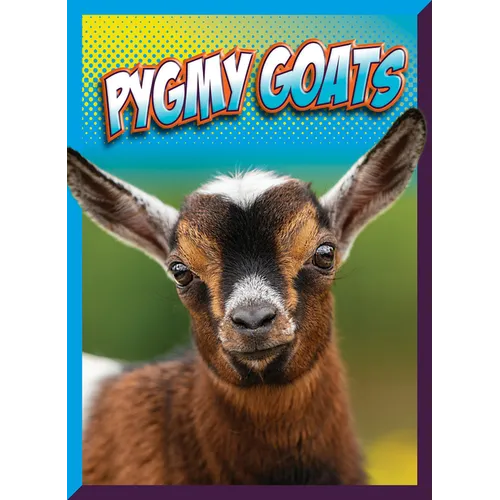 Pygmy Goats